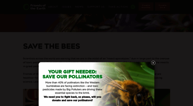 beeaction.org