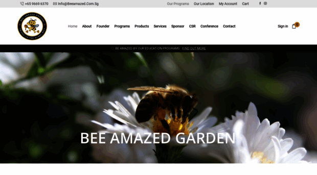 beeamazed.com.sg