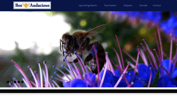 beeaudacious.com