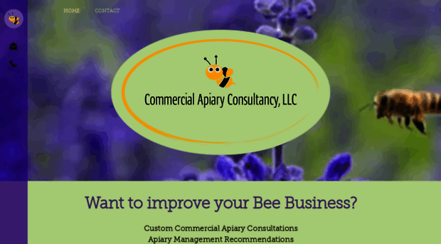 beebiz.net