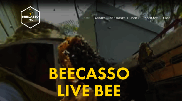 beecassolivebeeremoval.com