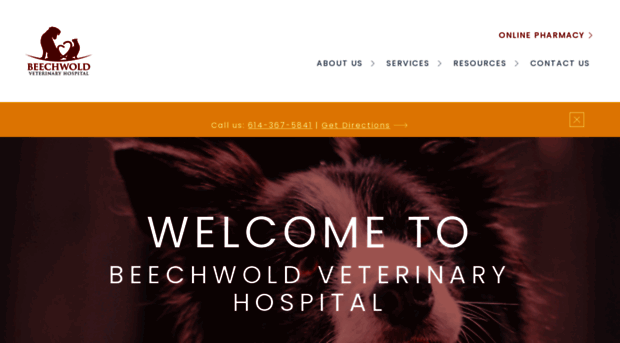 beechwoldvet.com