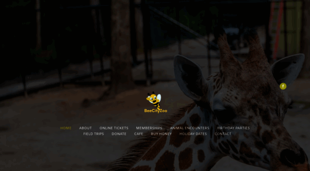 beecityzoo.com