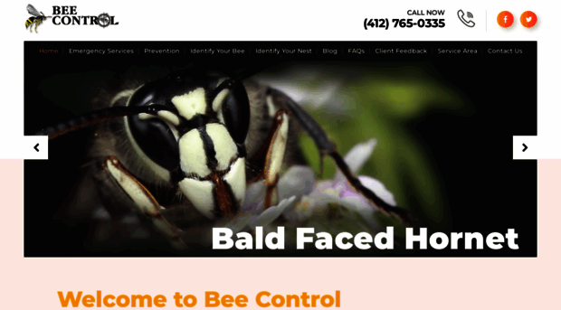 beecontrolpittsburgh.com