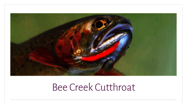 beecreek.ca