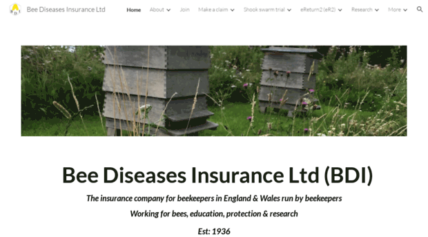 beediseasesinsurance.co.uk