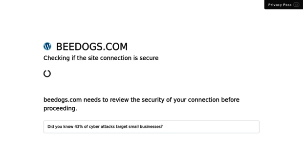 beedogs.com