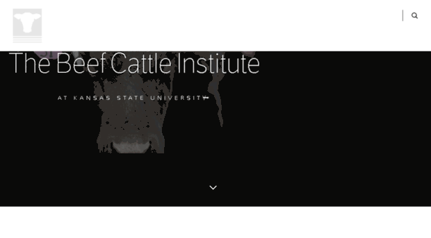 beefcattleinstitute.org