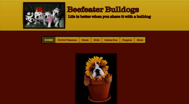 beefeaterbulldogs.org