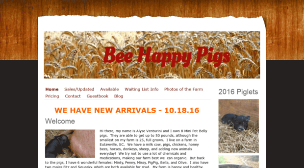 beehappypigs.jimdo.com