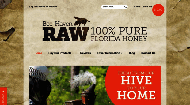 beehavenfl.com