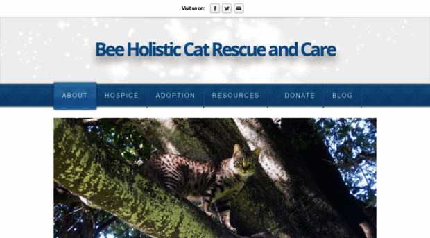 beeholistic.com