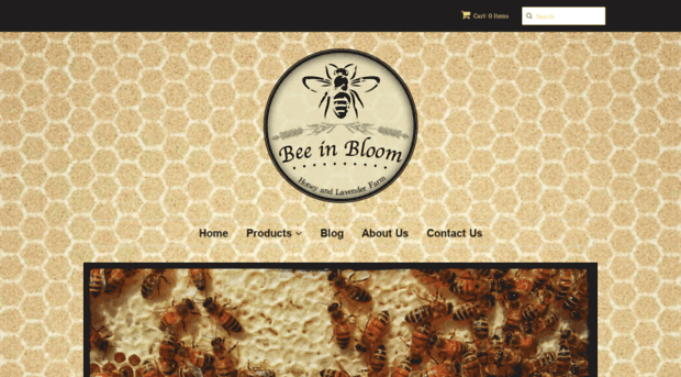 beeinbloom.com