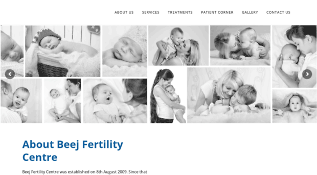 beejfertility.com