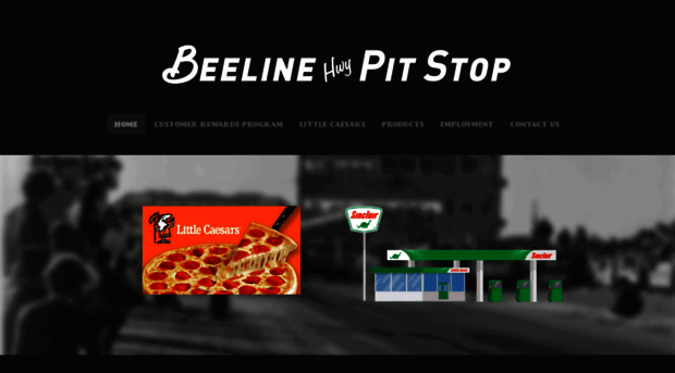 beelinepitstop.com