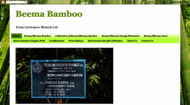 beemabamboo.blogspot.com