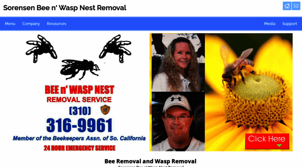 beenwasp.com