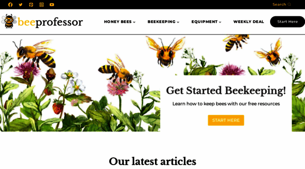 beeprofessor.com