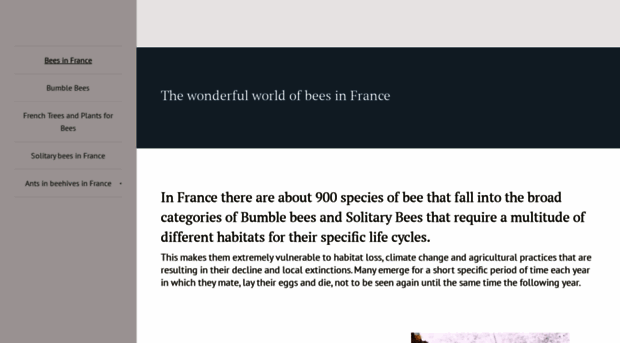 bees-in-france.com