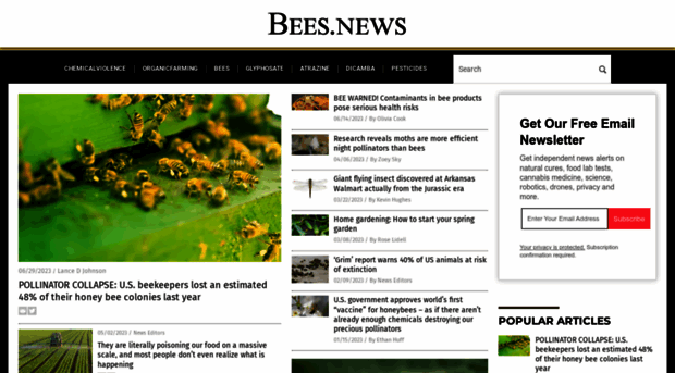 bees.news