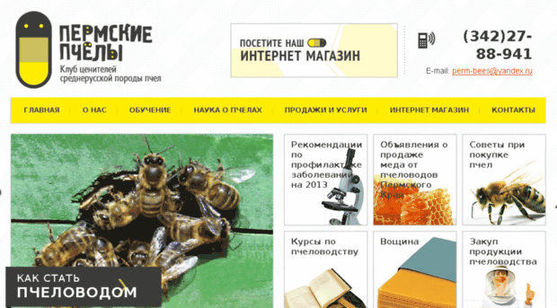 bees.perm.ru