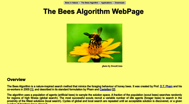 beesalgorithmsite.altervista.org