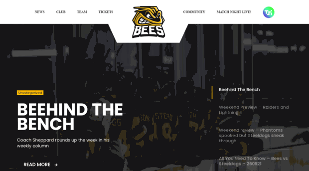 beesicehockey.com