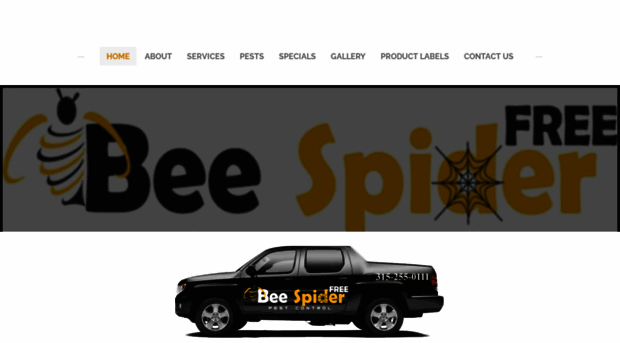 beespiderfree.com