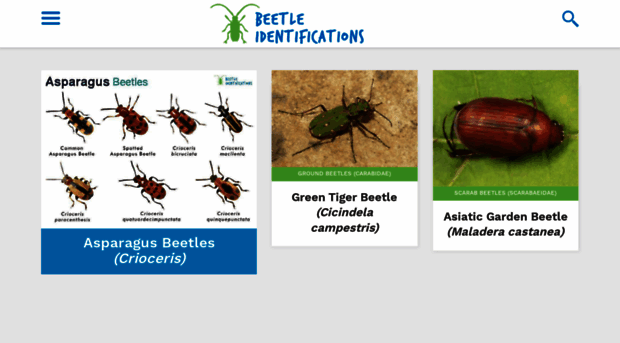 beetleidentifications.com