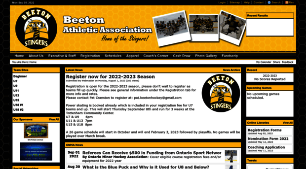 beetonstingers.com