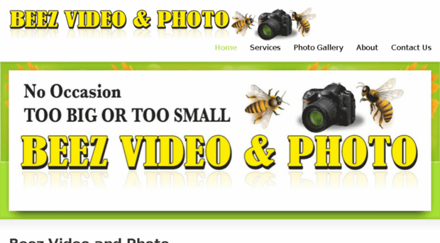 beezvideoandphoto.com