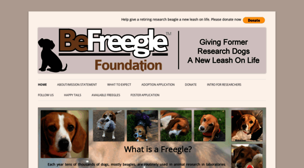 befreeglefoundation.org