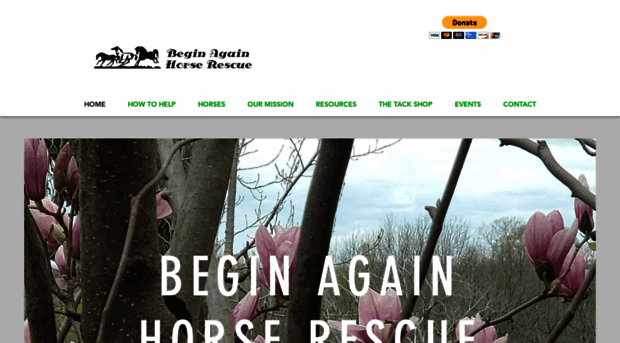 beginagainrescue.org