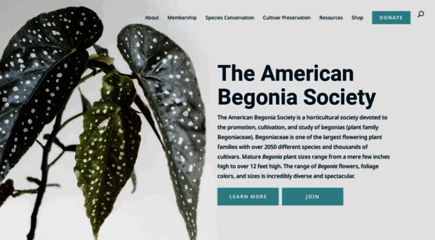 begonias.org