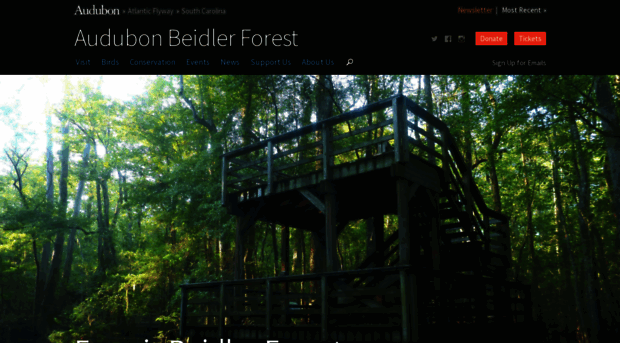 beidlerforest.com