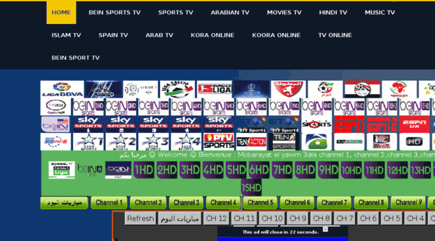 bein-sports-tv.net