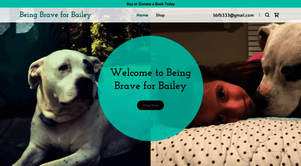 beingbraveforbailey.com