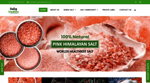 beinghealthysalt.com