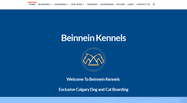 beinnein.com