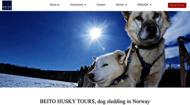 beitohuskytours.com