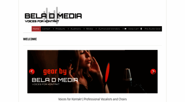 beladmedia.com