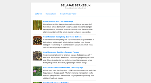 belajarberkebun.com