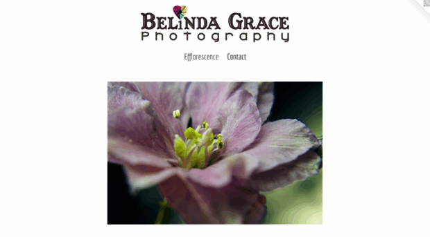 belindagracephotography.com