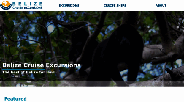 belizecruiseexcursions.com