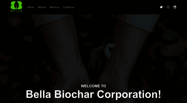 bellabiochar.com