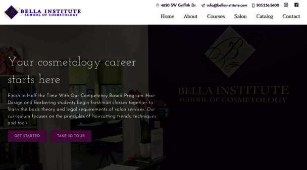 bellainstitute.com