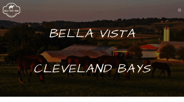 bellavistaclevelandbays.com