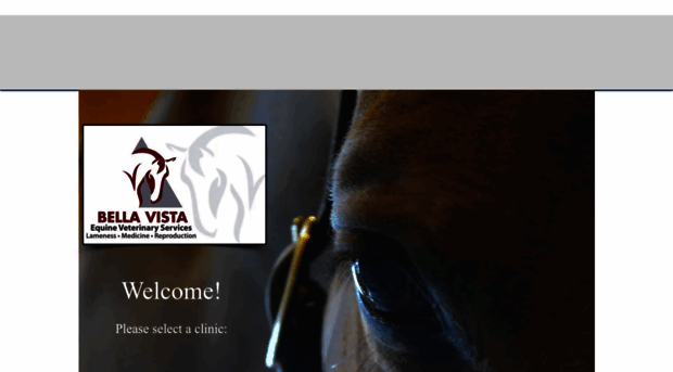 bellavistaequinevet.com