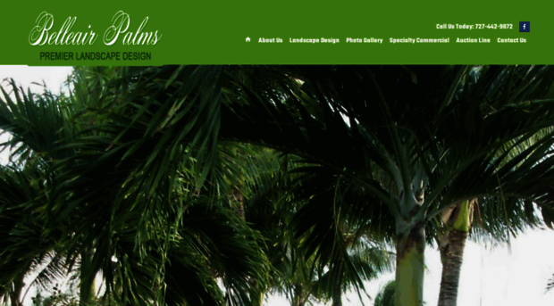 belleairpalms.com