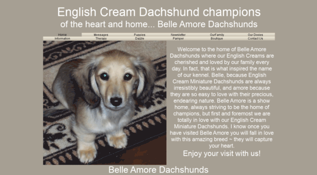 belleamoredachshunds.com